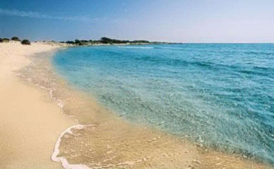 la spiaggia di cala ginepro (archivio l unione sarda)