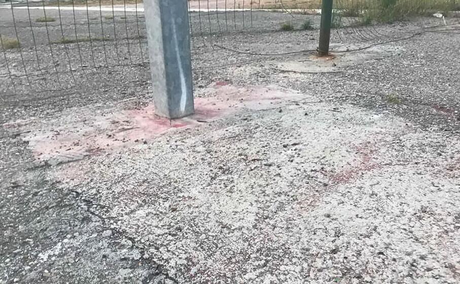 i cocci di bottiglia