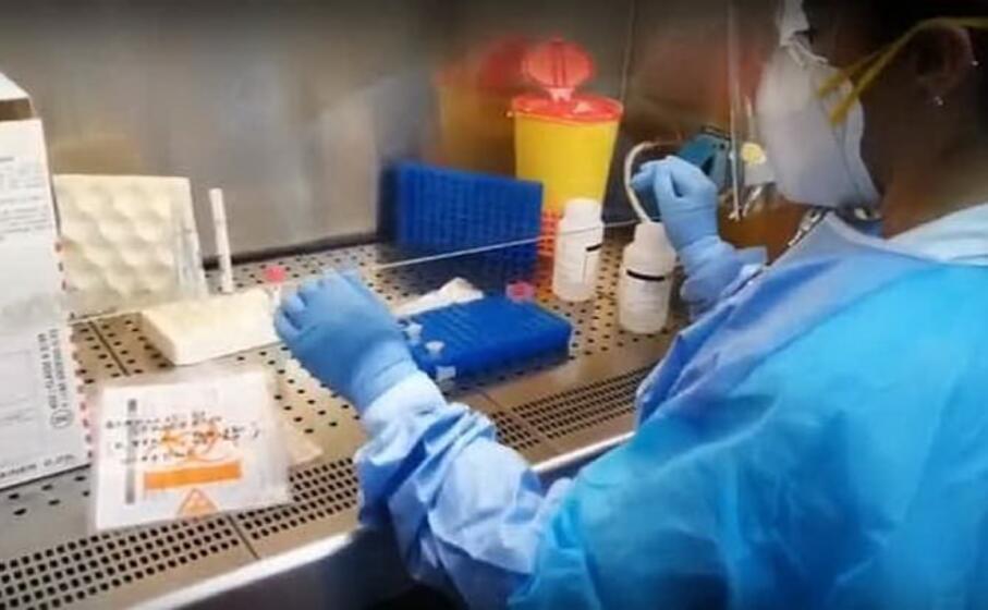 il laboratorio di virologia a sassari (archivio l unione sarda)