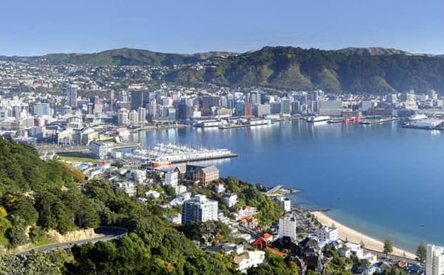 wellington la capitale della nuova zelanda (foto da google)