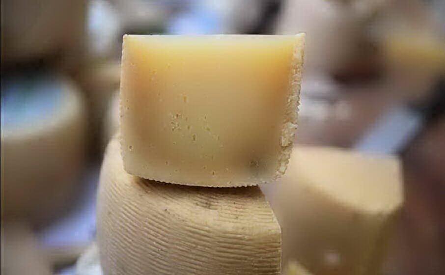 pecorino (archivio l unione sarda)