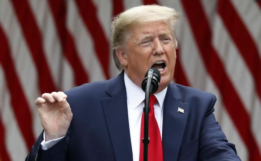 donald trump (ansa)