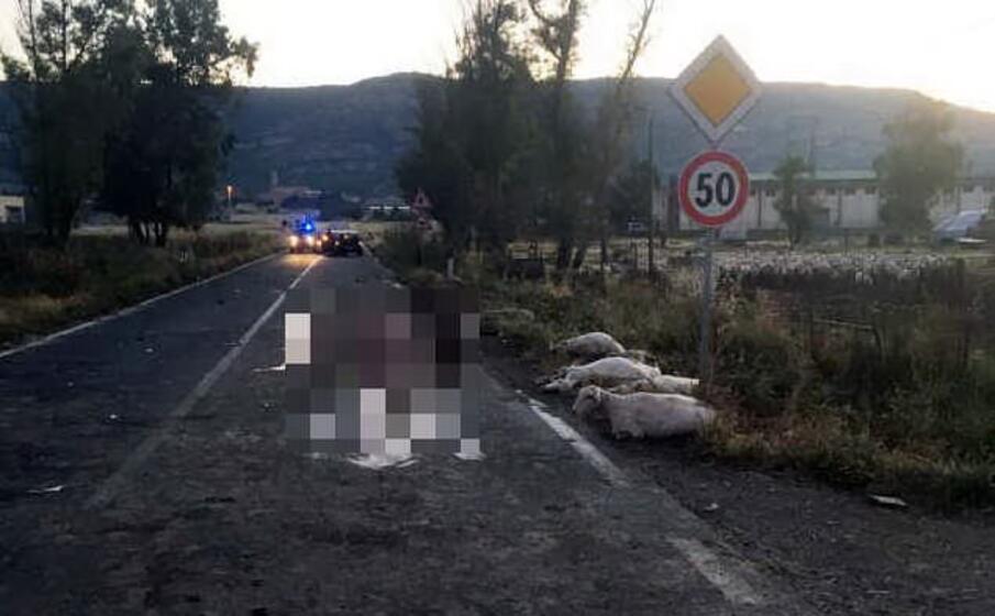 il luogo dell incidente (l unione sarda pintori)