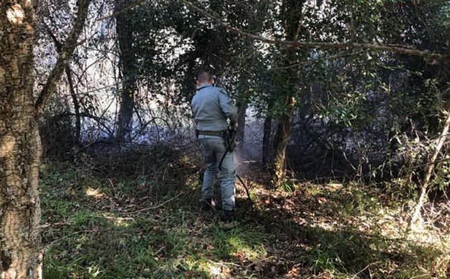 un agente impegnato nello spegnimento di un incendio (foto corpo forestale)