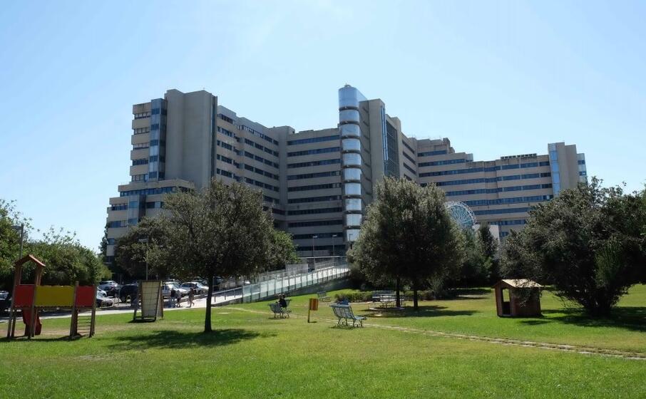 l ospedale brotzu (l unione sarda)