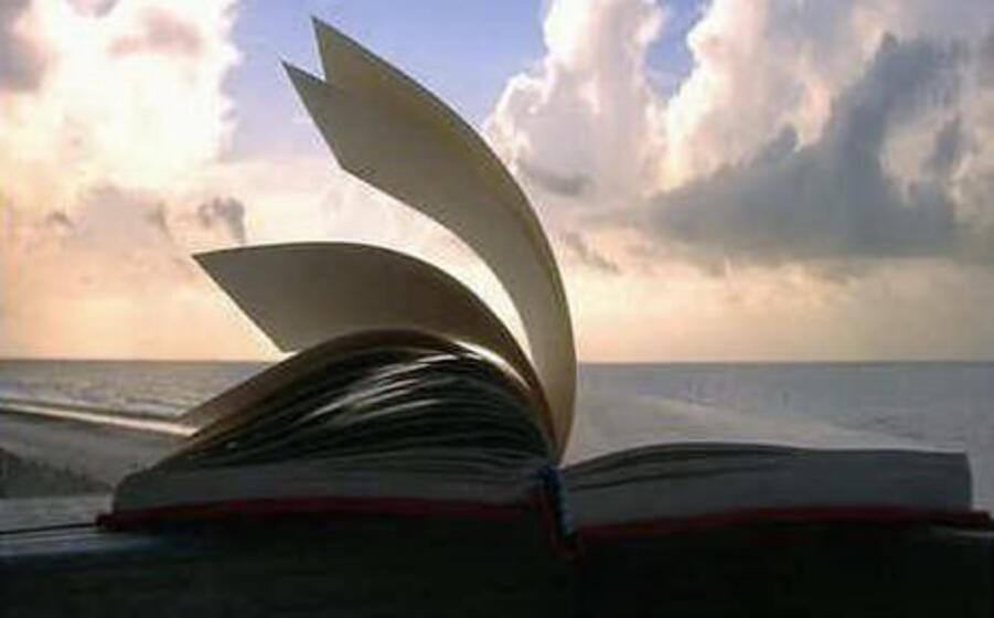 un libro sullo sfondo del mare