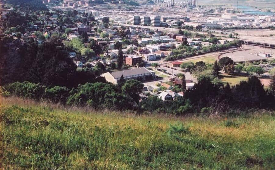 una veduta della citt di richmond (wikipedia)