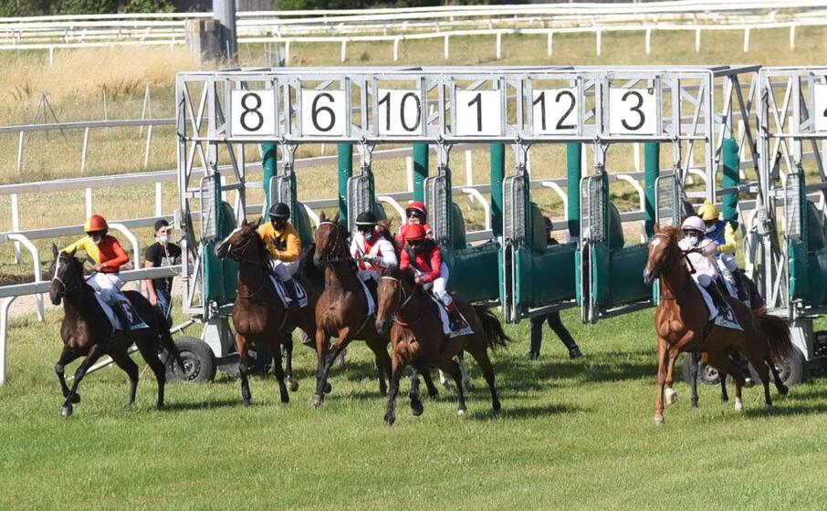 chilivani riapre l ippodromo