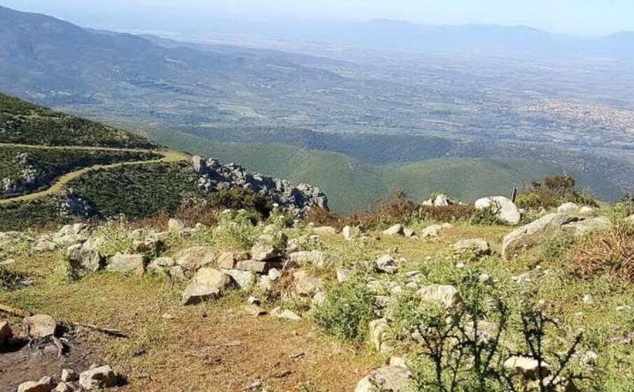 un immagine dai dintorni di dolianova (foto sardegnaturismo)