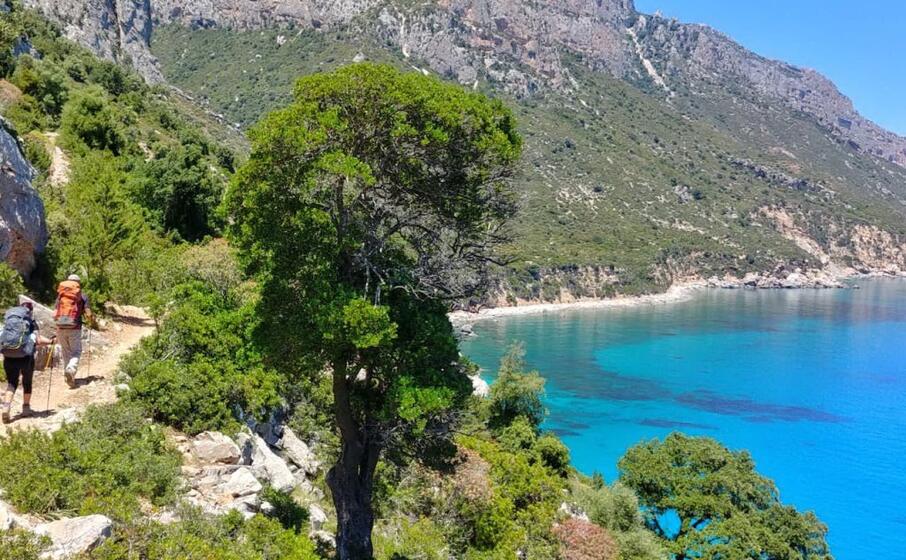 baunei il selvaggio blu