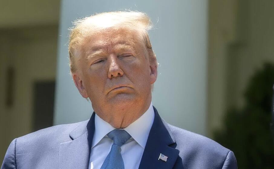 donald trump (foto ansa)