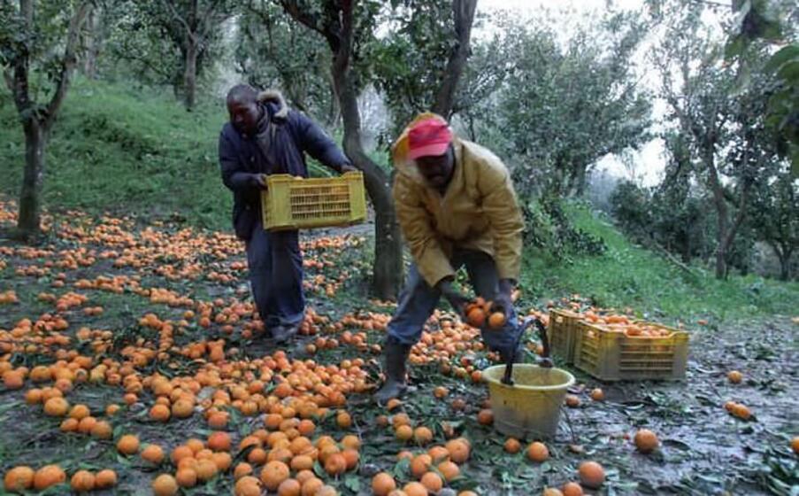 immagine simbolo (ansa)