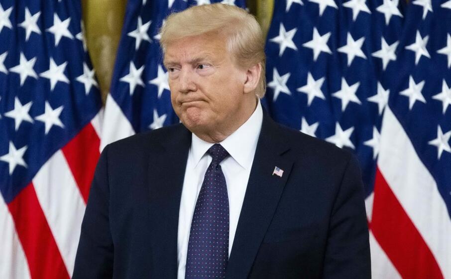 donald trump (ansa)