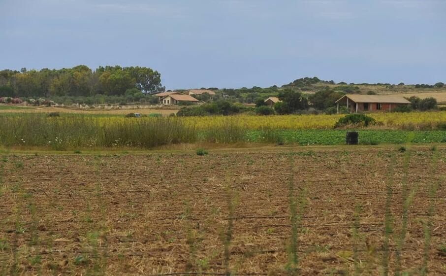 le case agricole lungo il sinis (foto s pinna)