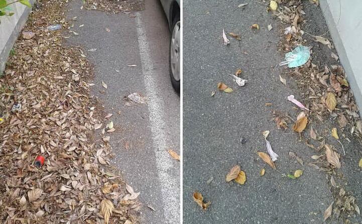cagliari via belgrado da almeno 3 mesi siamo in mezzo a sporcizia varia nessun operatore pulisce la strada foto inviate da un lettore (19 06 2020)