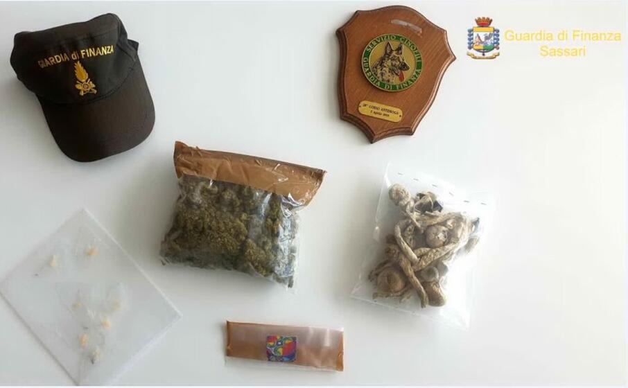 la droga posta sotto sequestro (foto guardia di finanza di sassari)