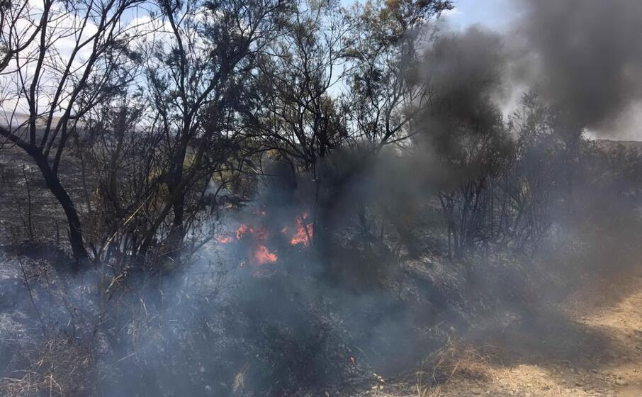 fiamme a nuraminis campi distrutti