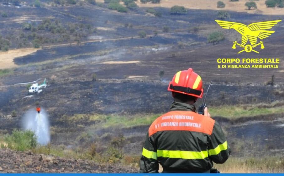 un intervento della forestale