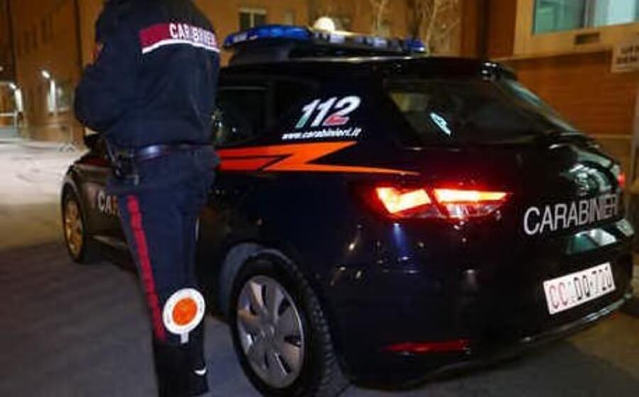 carabinieri (ansa)