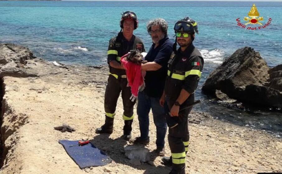 il cagnolino insieme al proprietario (foto vigili del fuoco)