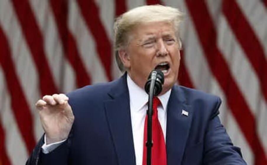 donald trump (ansa)