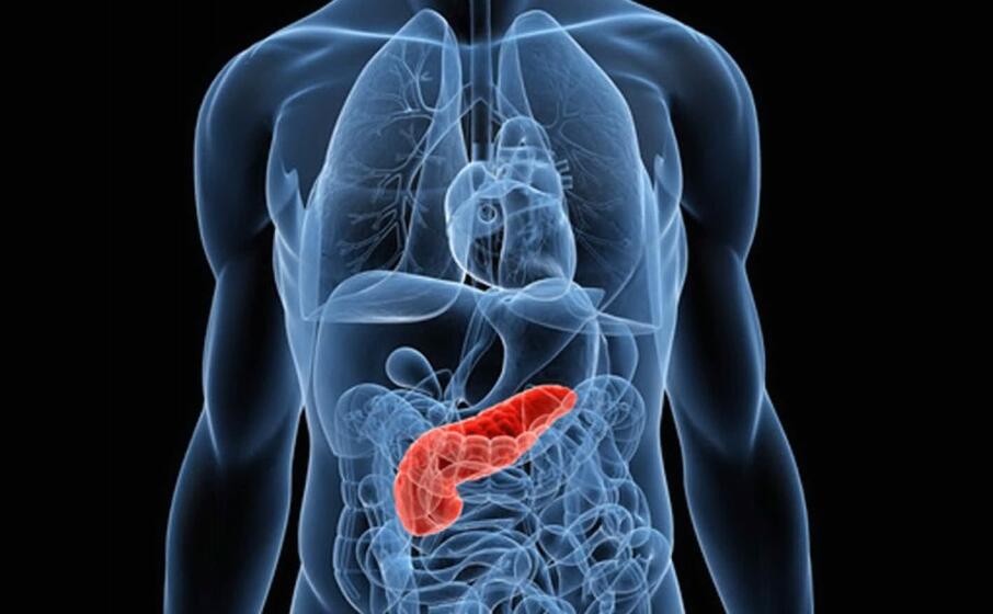 malattie del pancreas (foto simbolo archivio u s )