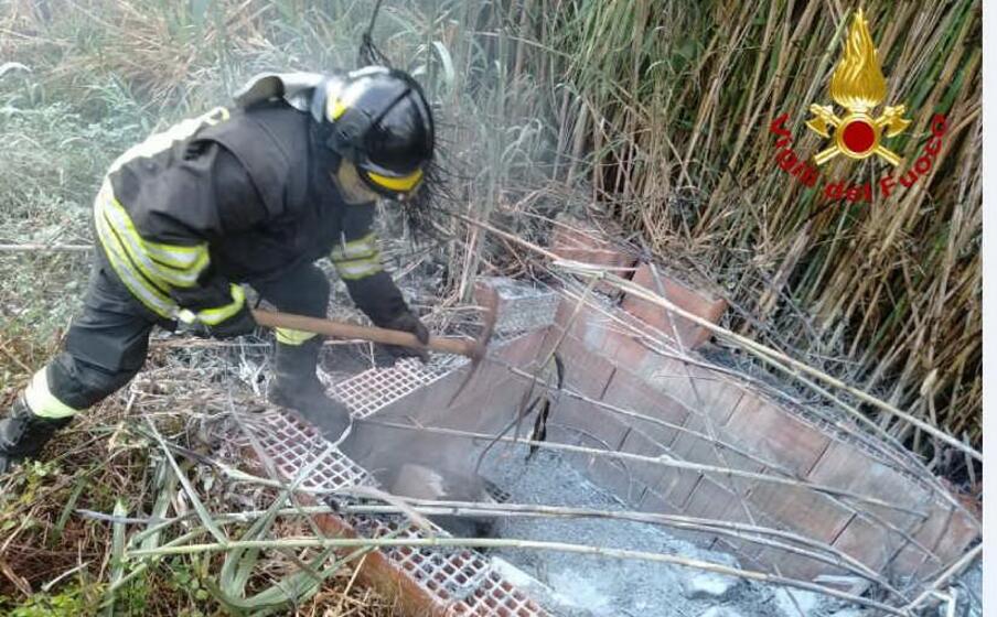 i cavi elettrici bruciati (foto vigili del fuoco)