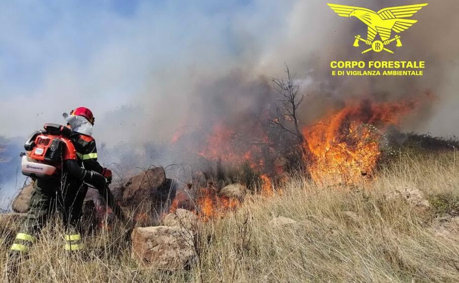 (foto corpo forestale)