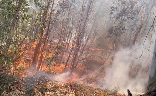 Il fuoco (Foto Protezione civile Santa Barbara)
