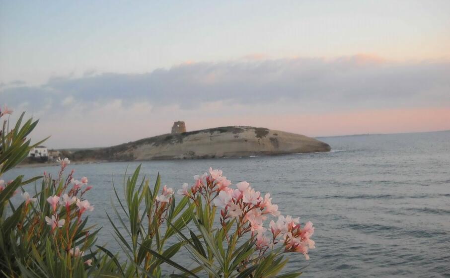la zona di torre del pozzo (archivio l unione sarda)