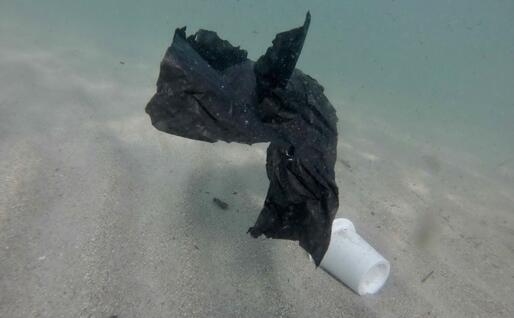 Resti di buste e bicchieri sott’acqua al Poetto (L'Unione Sarda)