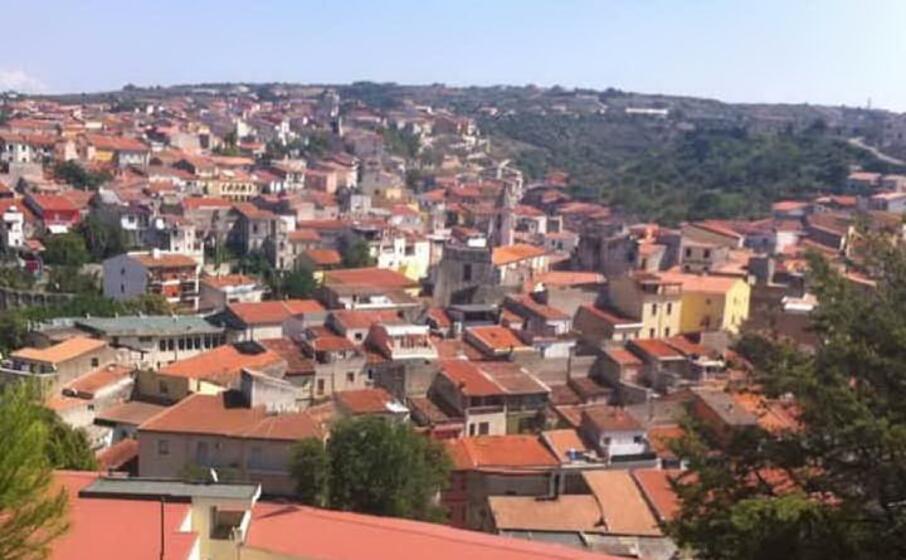 una panoramica di ossi (foto comune)