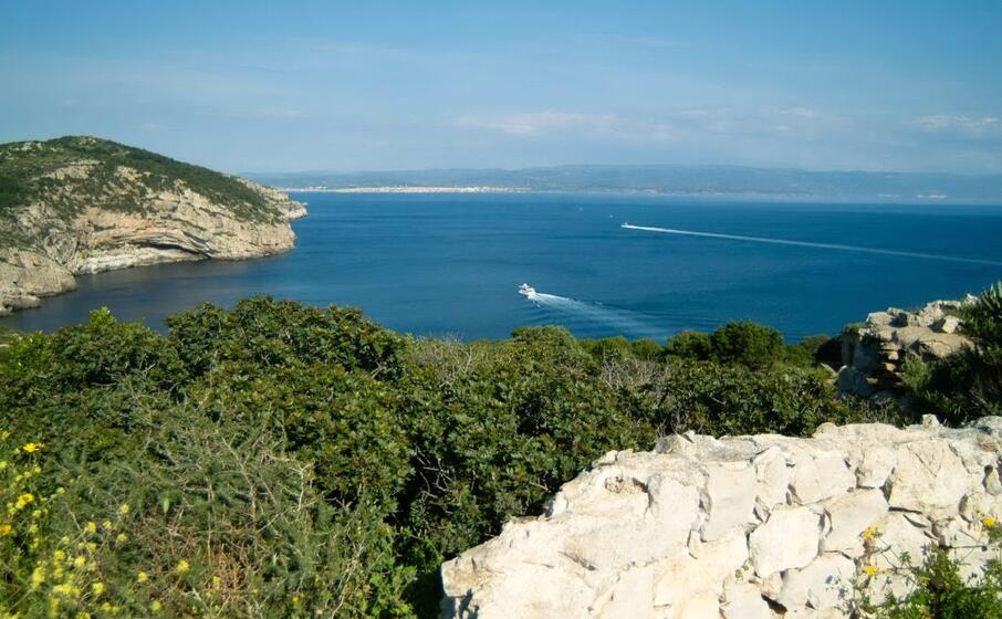 alghero punta giglio (foto pilia)