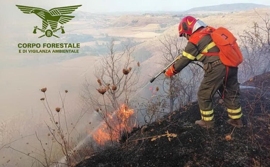 (foto corpo forestale)
