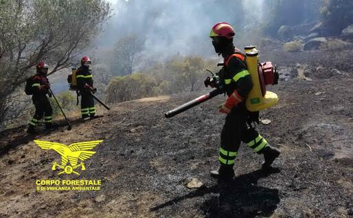 L'intervento ad Assemini (foto Corpo forestale)
