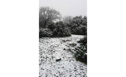 La Giara innevata (foto L'Unione Sarda/Pintori)