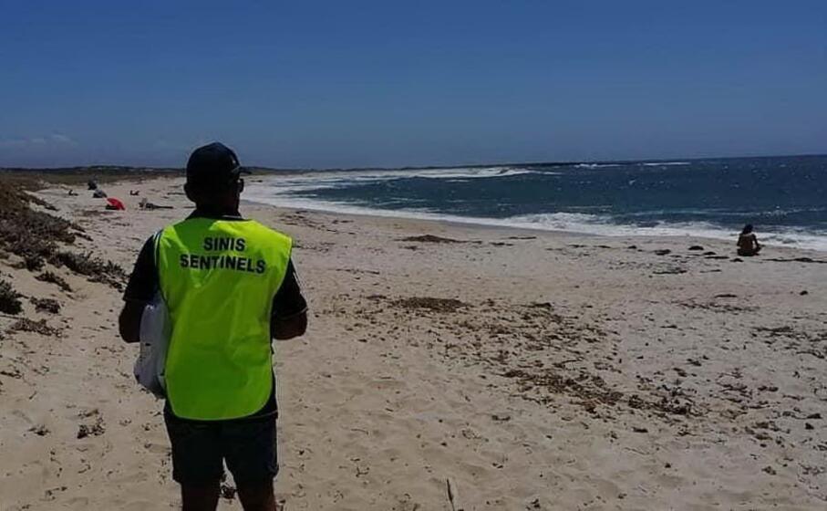 una sentinella lungo la costa del sinis (foto s pinna)