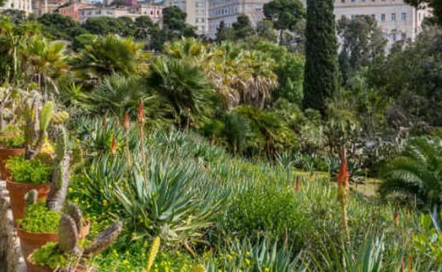 (foto sardegnaturismo)