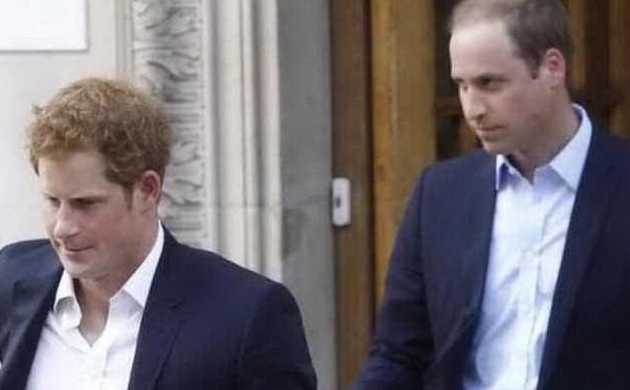 harry e william (foto da google)