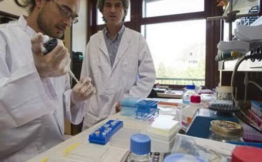 L'importanza della ricerca nella medicina (Ansa)