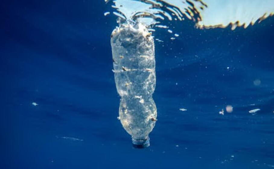 immagine simbolo (foto greenpeace)