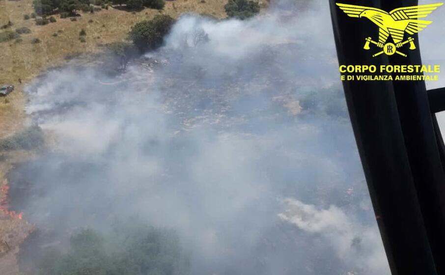un incendio (foto corpo forestale)