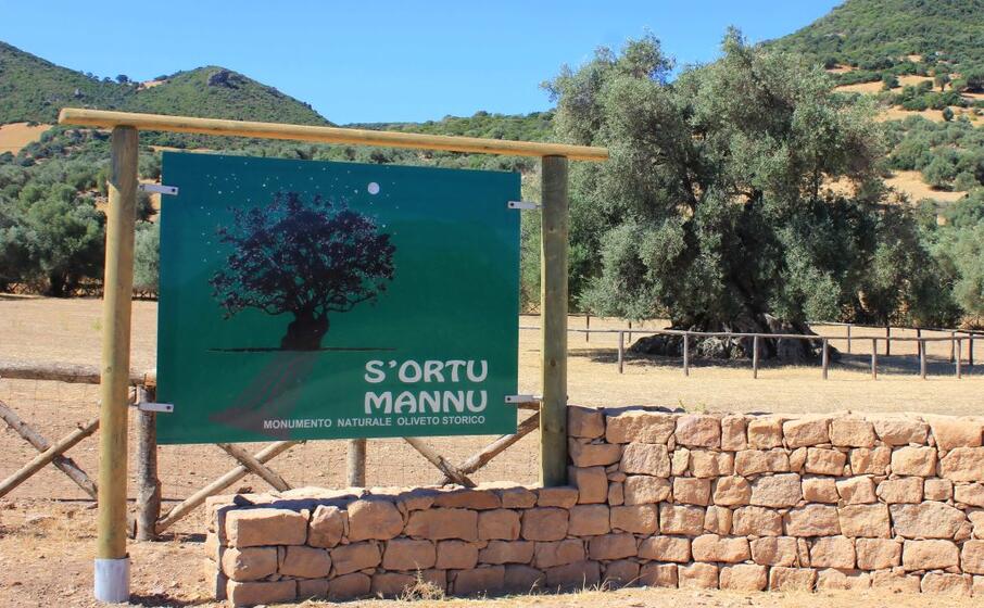 la localit s ortu mannu (foto farris)