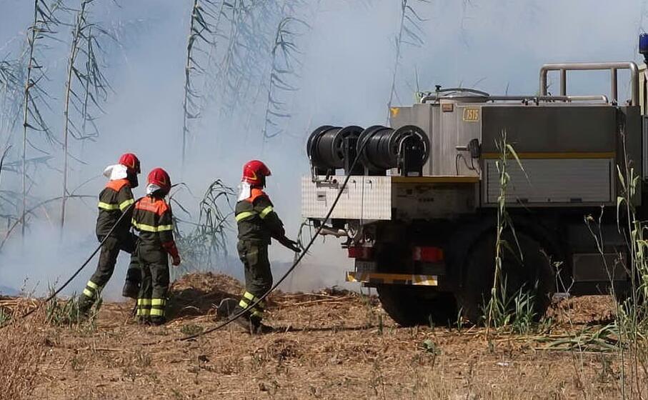 le squadre anti incendio della forestale (foto corpo forestale)