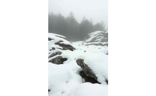 Neve a Limbara
