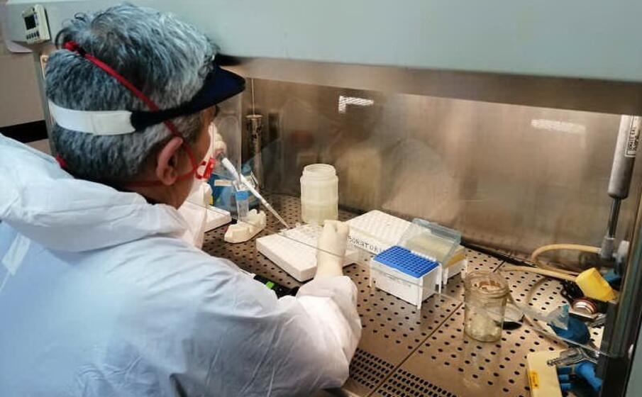 un laboratorio (archivio l unione sarda)