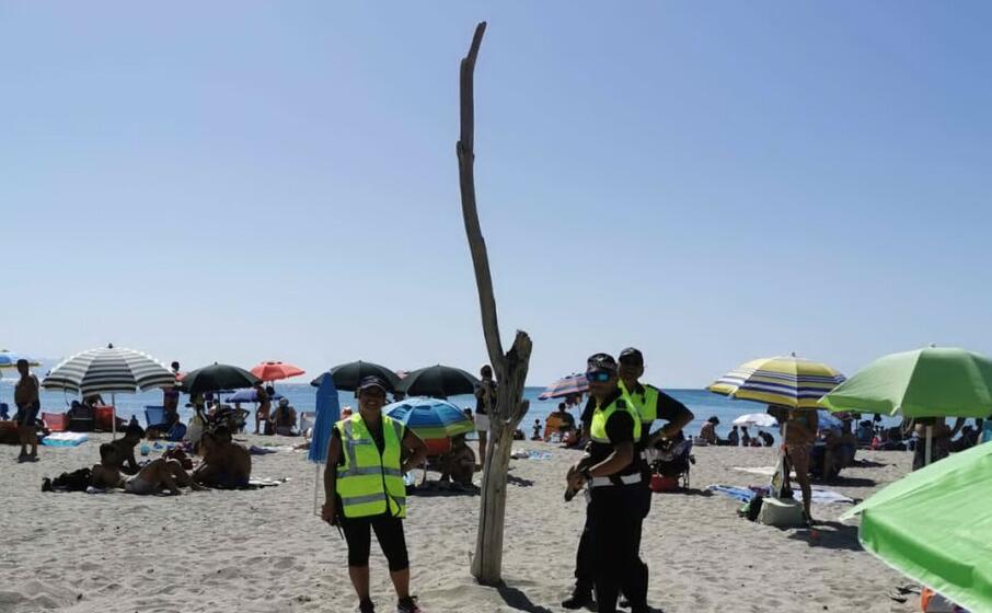 il grosso ramo piantato in spiaggia (foto polizia municipale)