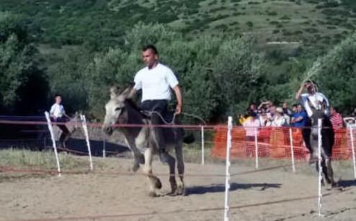 Un momento del palio (foto L'Unione Sarda - Pintori)