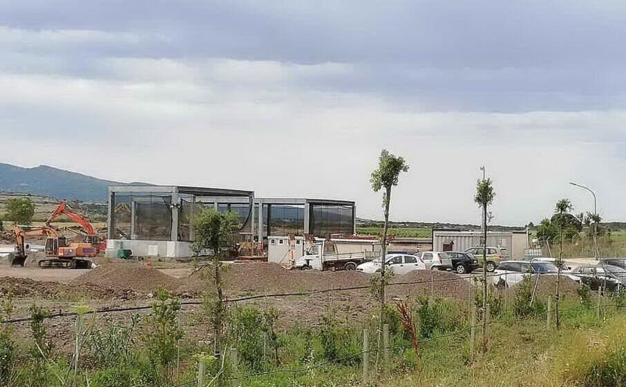 la geco (foto pinna)