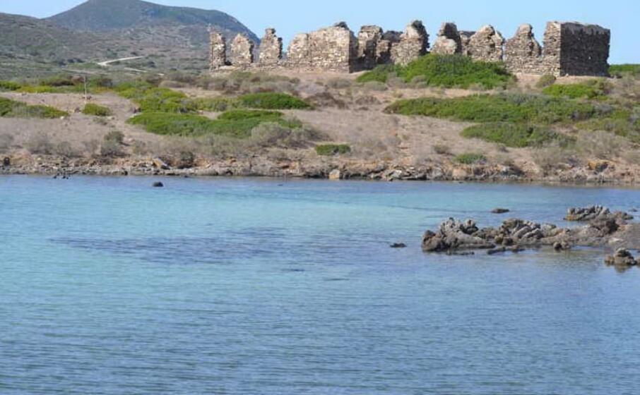 l isola dell asinara (foto pala)